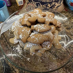 This was my first time making gingerbread cookies and they tasted great!! I added a powdered sugar and cinnamon dusting!!