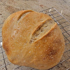 Beautiful and easy sour dough
