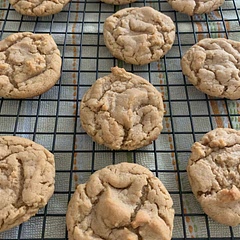 Perfect chewy peanut butter cookie! They will look puffy and like they are not done after 10 minutes but look at the edges and take out if they look a bit golden brown. They will flatten as they cool.