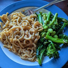 Super delicious; I couldn't find broccolini so I got baby broccoli (they are technically different) and it worked out great! Honestly can't wait to make this again.