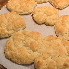 Will use a cake pan next time to get more rise.leave out sweetener.