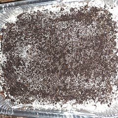 Made this for christmas dessert everyone loved it