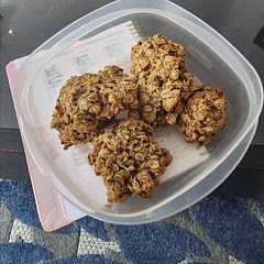 Probably even better with nuts or chocolate. I would maybe add more cinnamon, but great new recipe to utilize overriped bananas