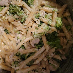 I actually used a homemade Alfredo Sauce.
Super goo