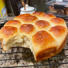 I followed the recipe to the letter and the results were very good! It had a nice fluffy rise, a slightly sweet flavor and soft crust. I have a burger bun pan and am going to cook the dough in next time, I think it will make wonderful sandwich buns!