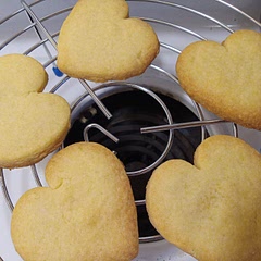 sugar cookies they were pretty good..
