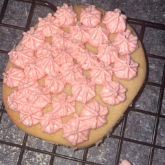 Best cookie I’ve ever tasted.