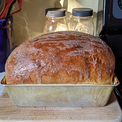 We really like this recipe! It has that perfect sourdough flavor, yet is soft and perfect for sandwiches. I butter the top when it comes out of the oven to soften the crust.