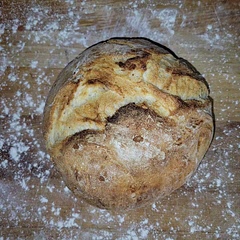 Finally, a CRUSTY bread! 😃🥳
I used bread flour instead of all-purpose, and it came out perfectly crusty for dipping in our stew tonight. 😋