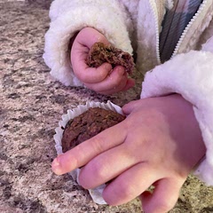 A fan! Toddler liked em, I might wait till my bananas were over ripe next time or add some maple syrup, not very sweet.