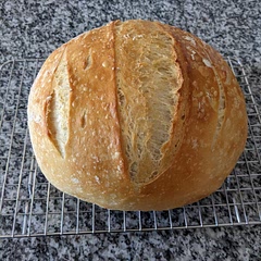 Delicious.  I allowed mine to rise near the stove all day.  Came out perfect.  It is the dead of winter so the home stays cold so I opted to use 100g of starter.  I also placed two small ice cubes in the Dutch oven with the loaf. 