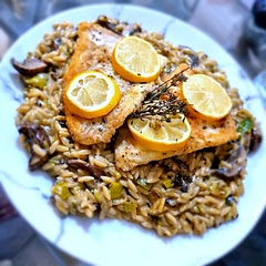 Really nice. Never had cod over orzo before. Orzo takes a long time to become soft though so much more time needed.