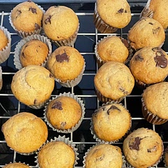 Extra chocolate chips! Makes 48 mini!