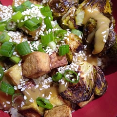 Perfection! I might just make this sauce once a week and put it on everything. Seriously, so good.