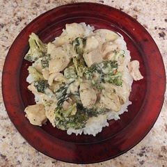 Great recipe! I left out the tomatoes and marinated the chicken in the seasoning a few hours before cooking. 