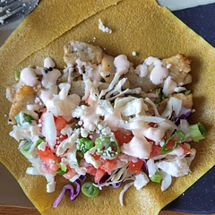 Avocado mayo and coconut wraps