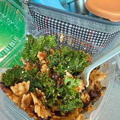 I modified the recipe a lot 
I added kale, olives, feta+ Parmesan, and bell pepper
Subbed tomato purée with my favorite low cal pasta sauce 
More seasonings
After that it was pretty good lol
I also split it into 5 servings