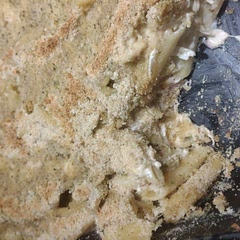 So good and so easy to put together. I'll be making this as one of my regular dishes! 
