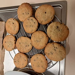 They are very tasty and easy to bake. I used a little more self rising flour, because the dough was too sticky. All and all a fun recipe 
