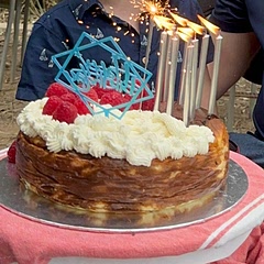 Such an easy and delicious rich cake - more moist than a traditional baked cheesecake, but we all really enjoyed it. I did however reduce the sweetener to 1/2… it was plenty sweet enough for those of us who have cut out sugar.