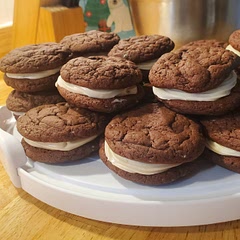 Mother of Neptune these cookies were so good. Like a less dense brownie, but still really soft. Everything about them were amazing. Keep refrigerated. The batter was a little too wet so I added more flour. 350 for nine minutes. 