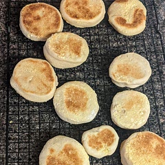 Mine did not have nooks and crannies, but I think it was my starter. However, very delicious and so soft! I will definitely try again and use a larger cutter.