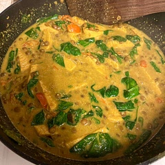 Accidentally put in double the coconut milk, added green lentils to beef it out.  Yum.