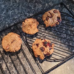 I used blueberries instead of cranberries, kids don't like them but I do!