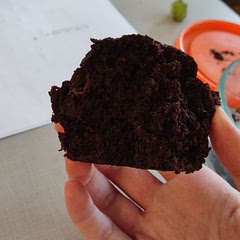 Amazing! Chocolatey, but a bit dry. They're not too sweet which is why the chocolate chips add a lot. They kept well on the counter, overall a go-to.