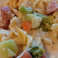 Only thing that I did differently was adding some frozen veggies in when the pasta was cooking and towards the end of the cooking process I added some Monterey Jack cheese. Letting that all melt together turned out really yummy 