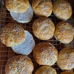 These are so soft!  Feel like regular gluten buns.  Can't wait for hamburgers tonight 