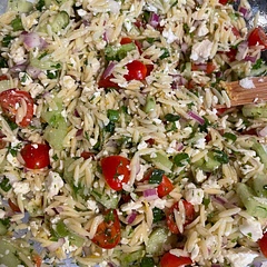 Absolutely fantastic! I skipped the mint to please the family. I did add in chicken that I’d seasoned with Greek seasoning.