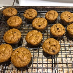 Added mini chocolate chips! I was worried about the batter being too thick, added milk. Should of trusted the recipe! Yum!!!