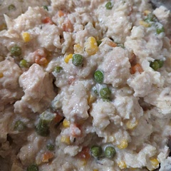 I wish it had more mush texture, but my rice is still crunchy 6 hours later. And the onion is too strong. What a bummer!