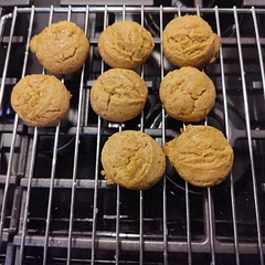 Left out the food coloring. 