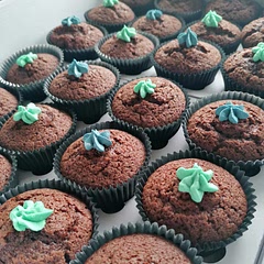 Made around 20/21 with one batch 😁 Delicious! I've been calling them muffins rather than cupcakes though (I'm not sure if that's correct but it feels right!) 