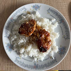 Very delicious and juicy meal. Made it in the oven, but had a very nice taste nevertheless.
Goes perfect with bland rice.
Would totally make again, as it’s very easy to make.