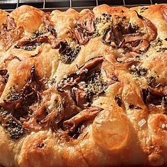 I have reached focaccia nirvana!!! Thank you for the wonderful recipe.  Salsa verde and roasted mushrooms.