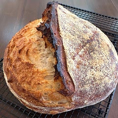 and this is after sitting in the fridge for 2 days. This sourdough recipe is fantastic! I'm able to mix dough and proof on the weekend, then bake on a weekday. I love!