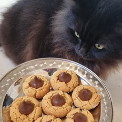 They are sooooo yummy. Wil definitely make again soon