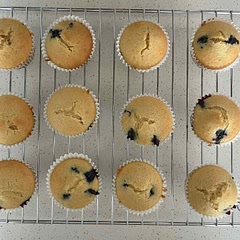 I like this recipe. It's easy and quick.

I would advise picking smaller berries if possible, as that will make a better texture for muffins.