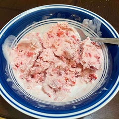 Flavor is great, but the texture it too icy for my taste. Makes sense, seeing as it comes out to about half strawberry juice, which is essentially water. I’m going to try making it with eggs next time and see if that helps.