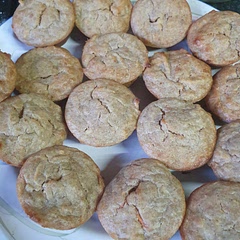 My son seems to like them so far. I tired a bit and found d them very moist but quite bland. Next time I might add an extra teaspoon of cinnamon to see how that changes the flavour.