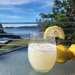 Tastes just like lemon and honey tea. It's nice but I wouldn't call it lemonade 