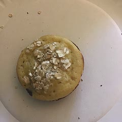 This was actually REALLY good it just needed a bit more moisture, will leave out the oats and put more blueberries in next time.