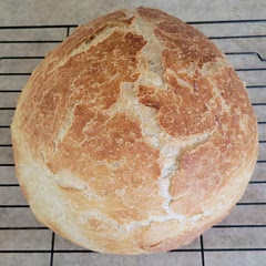 I like this bread recipe but 30 mins covered is way too long. The bottom always gets a little burnt. I would do 20 mins covered and 10 uncovered. 