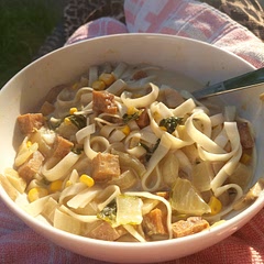 For veggies I used mushroom, bok choy and corn kernels. Added oven-fried tofu for protein. For the base sauce/soup I added ginger, peanut butter and soy sauce. Turned out great!