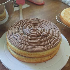 Birthday boy wanted chocolate frosting so skipped the lemon frosting. I may have over mixed the batter, the cakes came out rather thin.