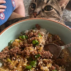 Added half a Napa cabbage and doubled the sauce. Very yummy!

(Please enjoy my cat in the background)