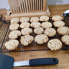 Good recipe.  The dough was a little crumbly but the cookies are moist and soft.